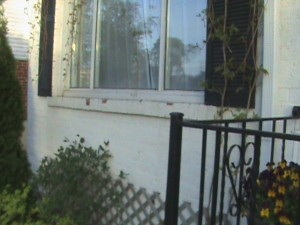 Brick wall of home in need of restoration.