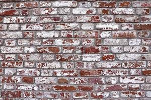 Efflorescence on brick masonry