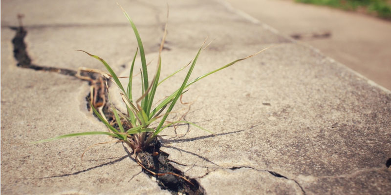 Signs You Need Toronto Concrete Driveway Repairs