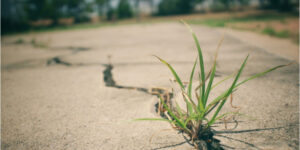 When to Fix Concrete Driveway Cracks in Toronto